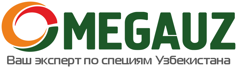 MEGAUZ